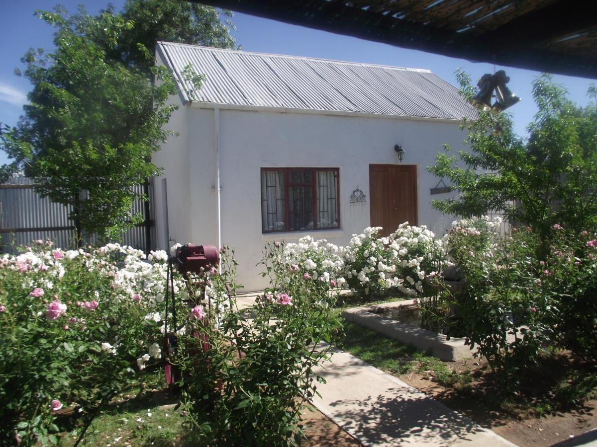 Lavender Rose Bed & Breakfast Bethulie Dış mekan fotoğraf
