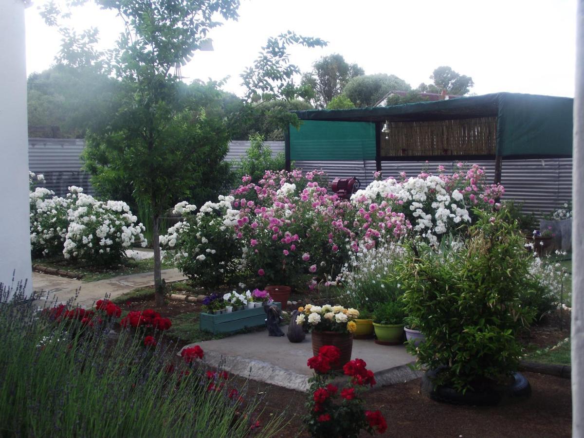 Lavender Rose Bed & Breakfast Bethulie Dış mekan fotoğraf