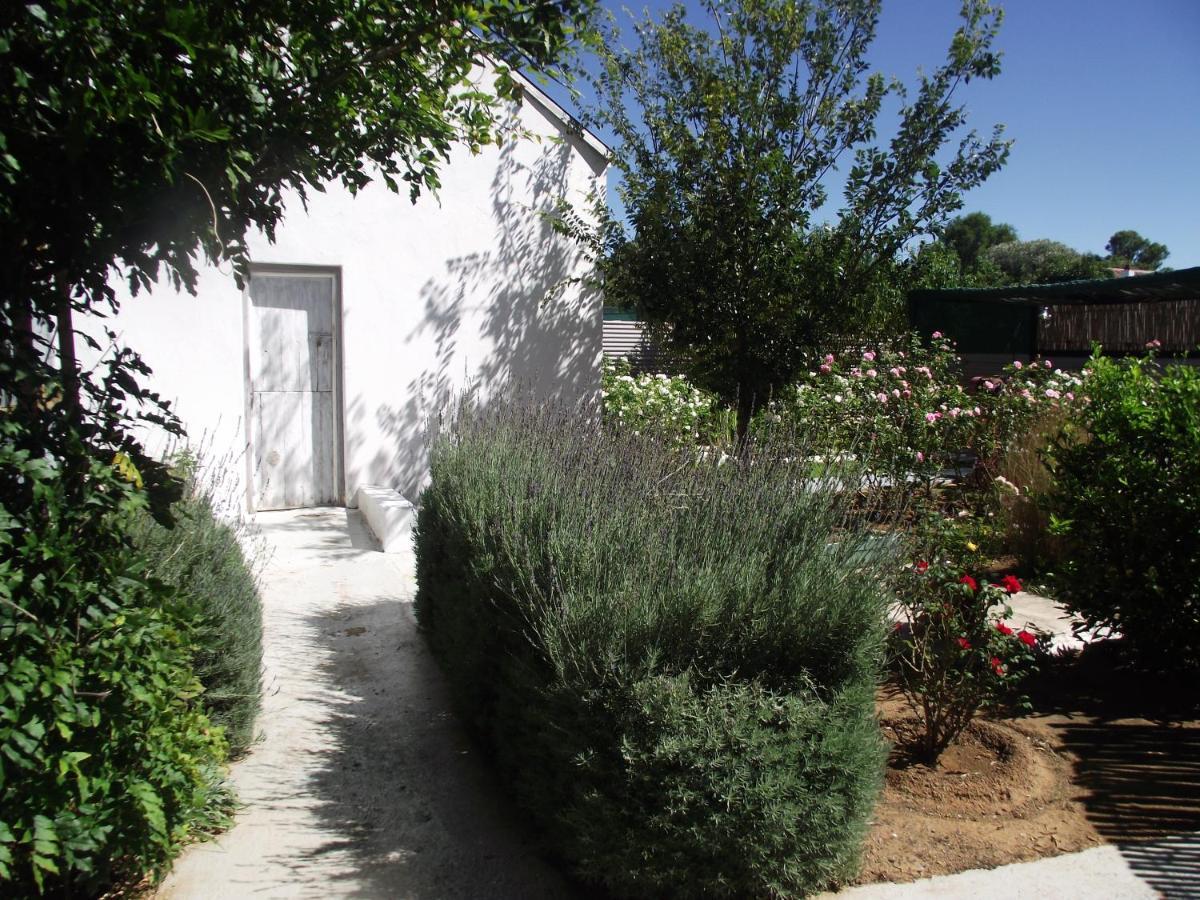 Lavender Rose Bed & Breakfast Bethulie Dış mekan fotoğraf