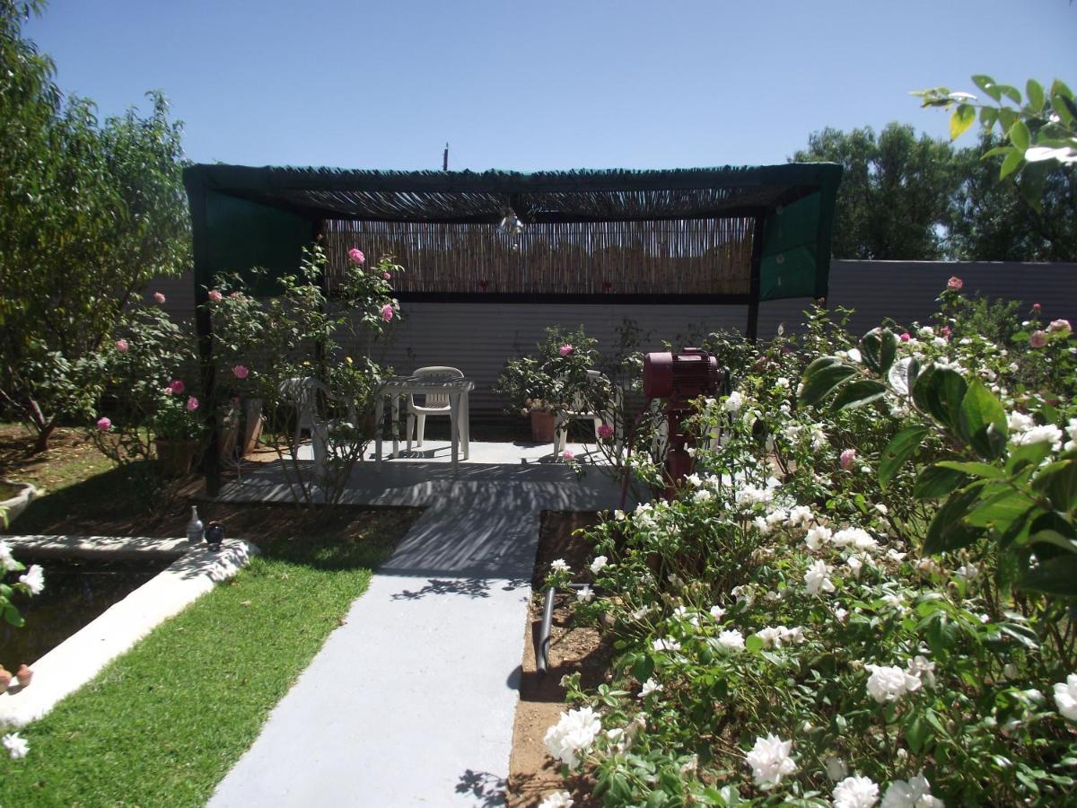 Lavender Rose Bed & Breakfast Bethulie Dış mekan fotoğraf